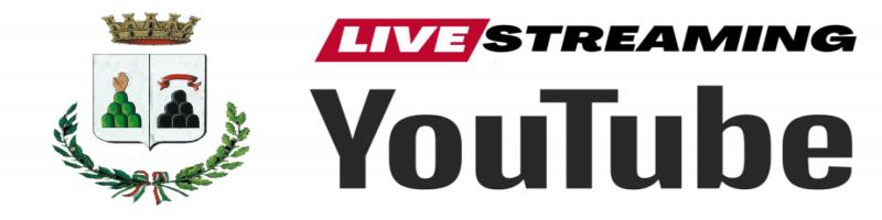 Link Consiglio comunale in diretta ore 15:00